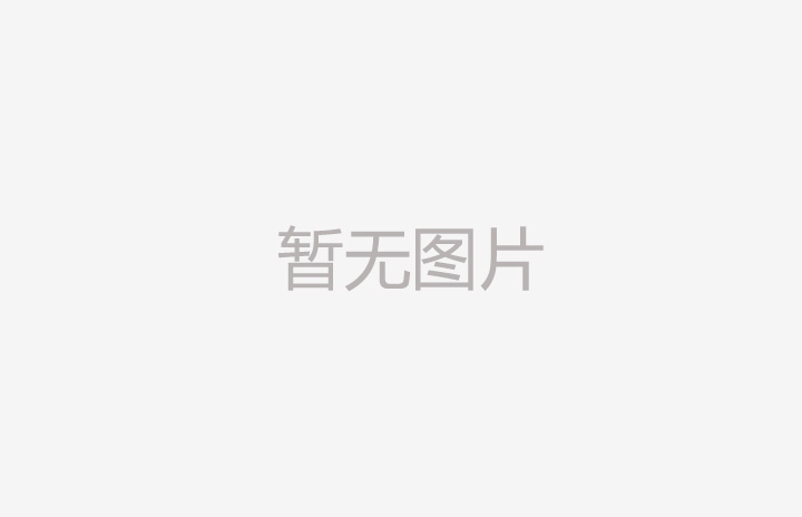 公司簡介